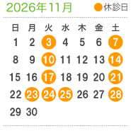 診療案内11月